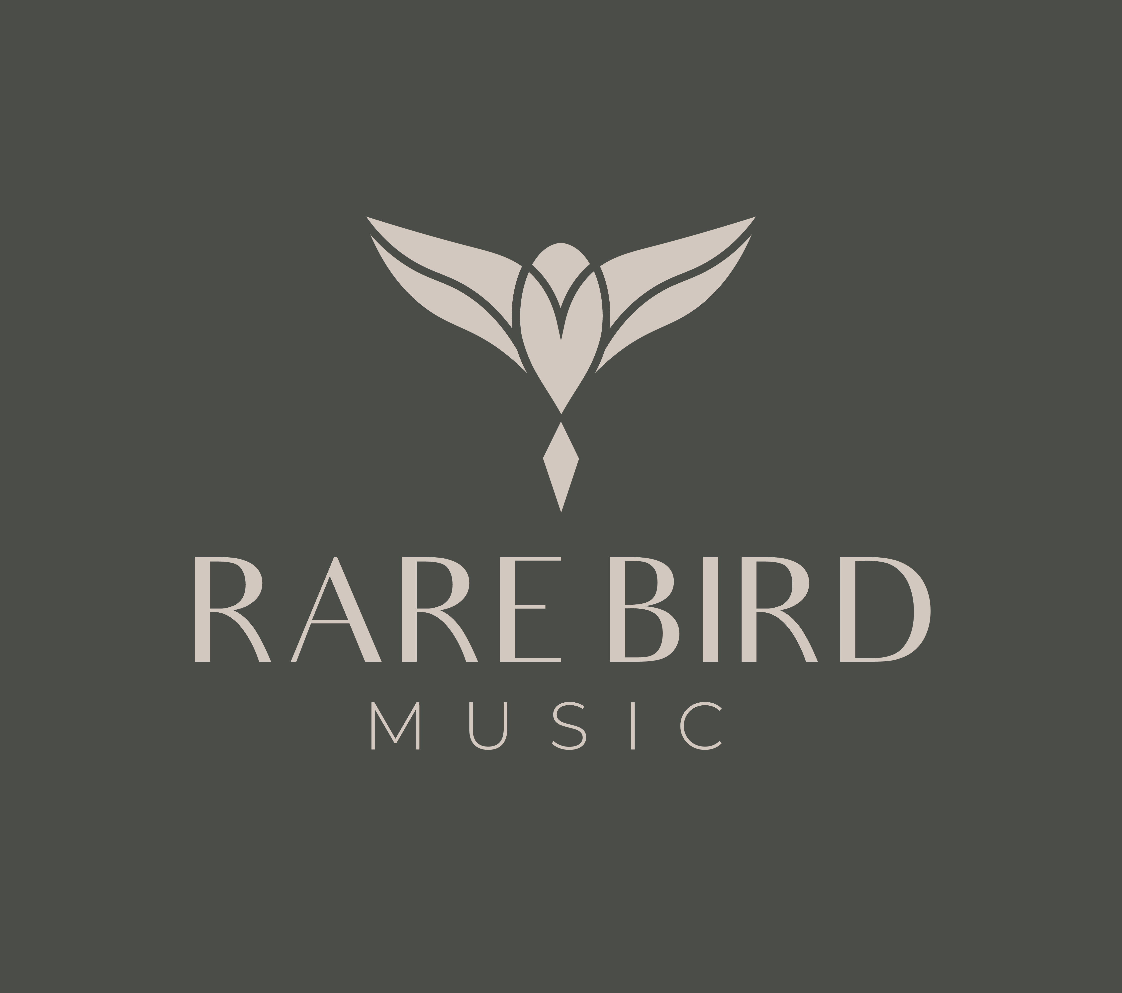 instagram story standard