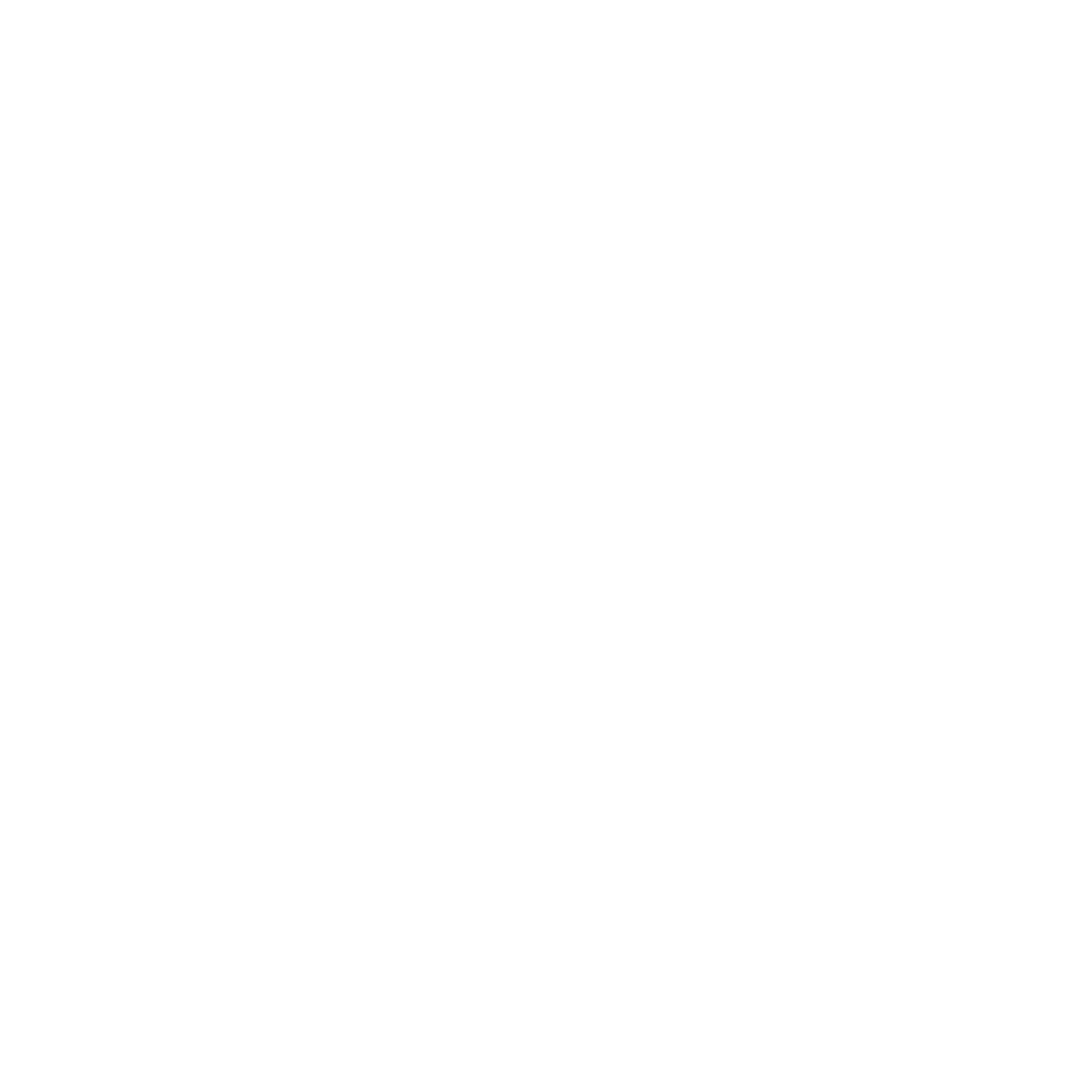 Logo_Roberta_Lanzetti_bianco